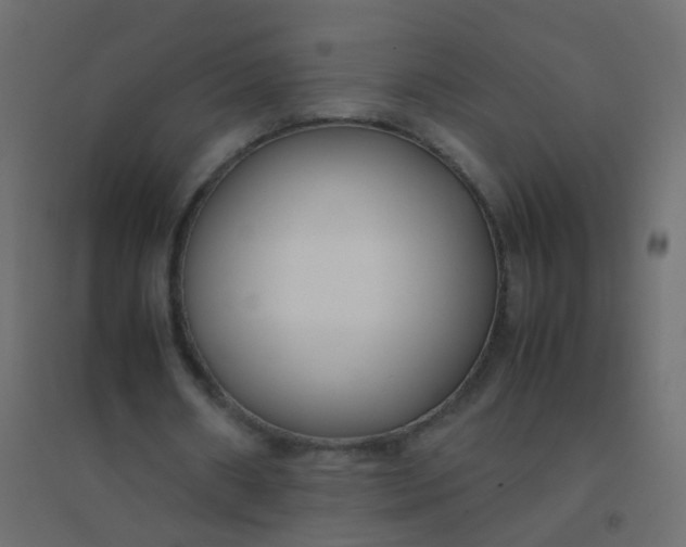 X0000094910482200712131456