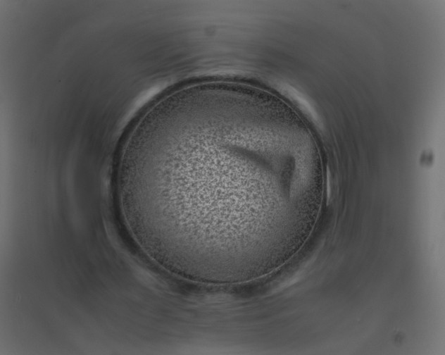 X0000094910483200712131456