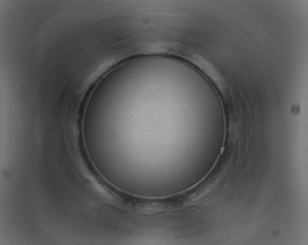 X0000094910485200712131456