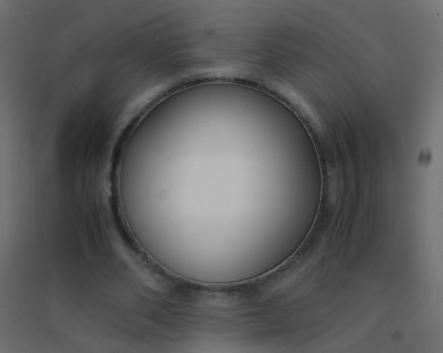 X0000094910486200712131456