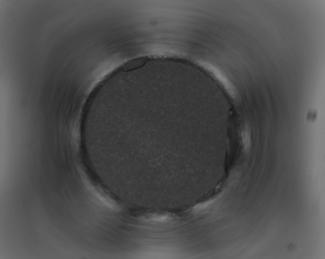 X0000094910488200712131456