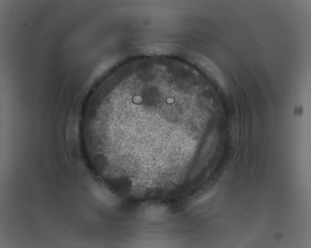 X0000094910491200712131456