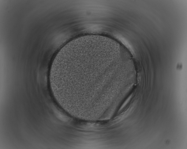 X0000094910493200712131456
