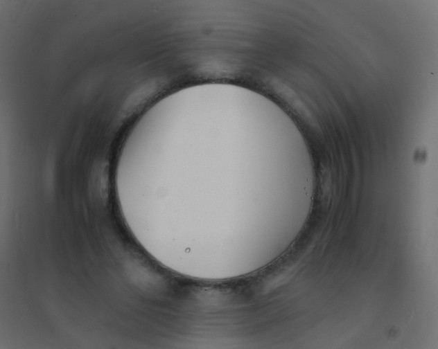 X0000094910494200712131456