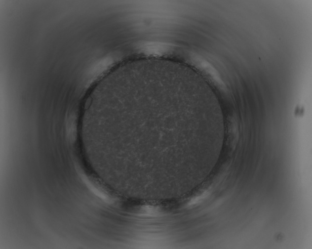 X0000094910496200712131456