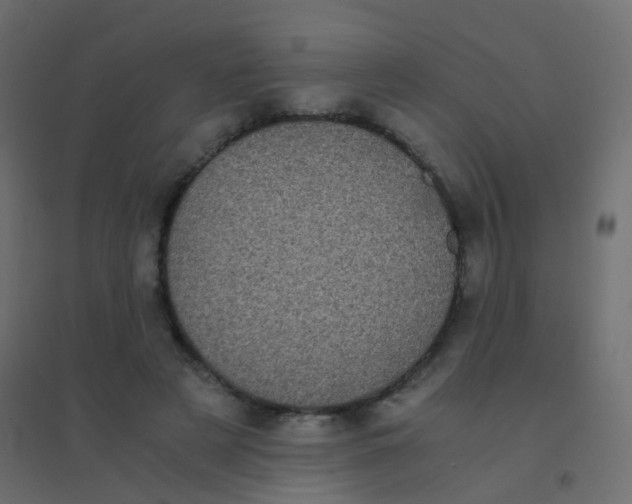 X0000094910497200712131456