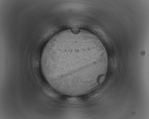 X0000094910499200712131456