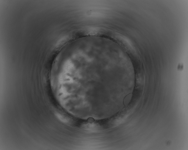 X0000094910503200712131456