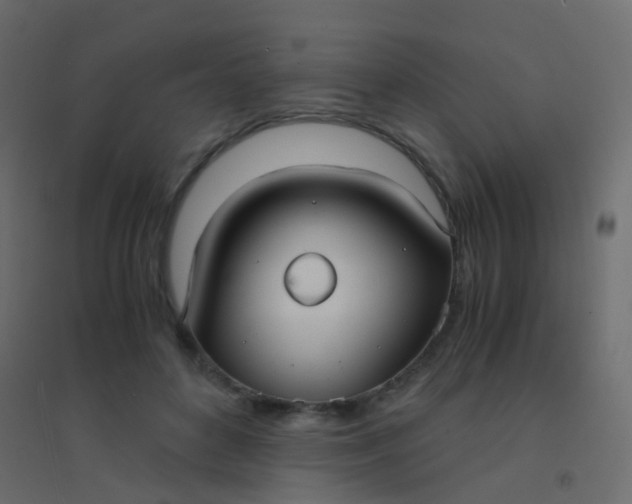 X0000094910504200712131456