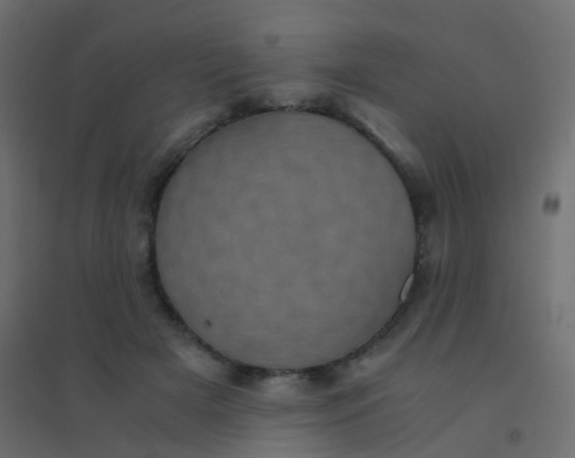 X0000094910505200712131456