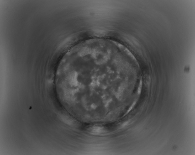 X0000094910507200712131456