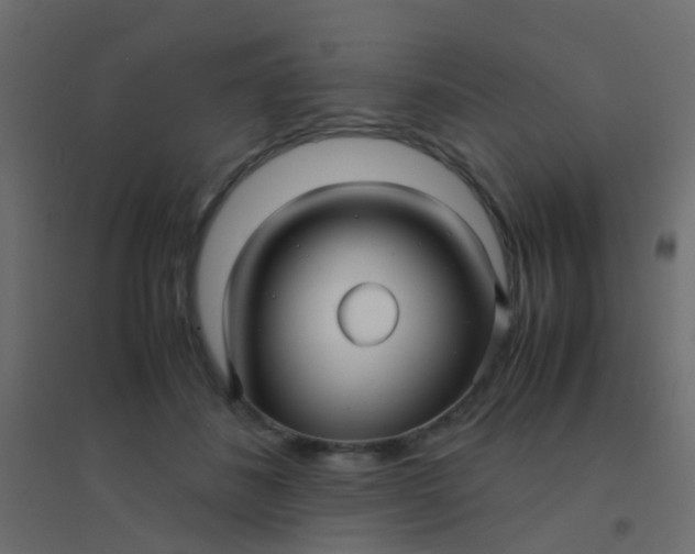 X0000094910508200712131456