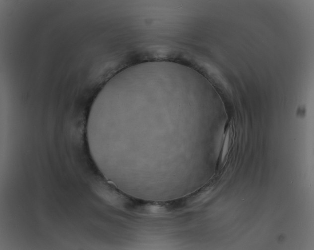 X0000094910509200712131456