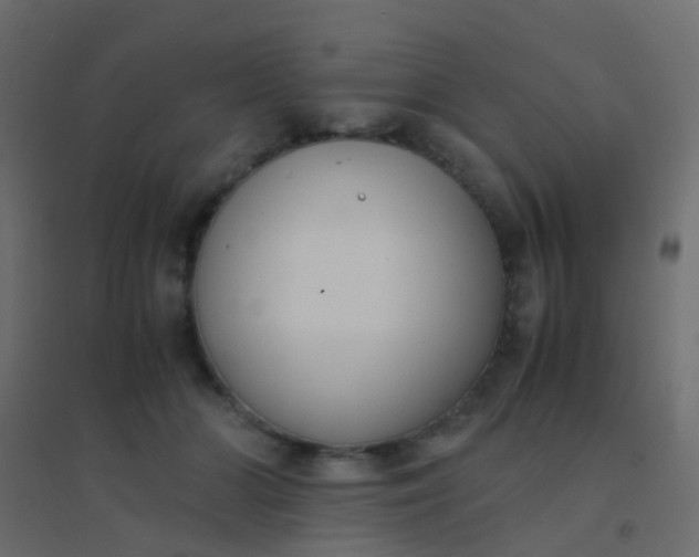 X0000094910510200712131456