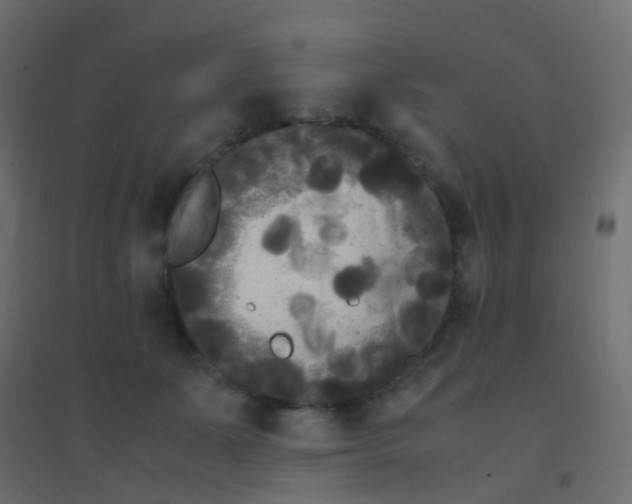 X0000094910511200712131455