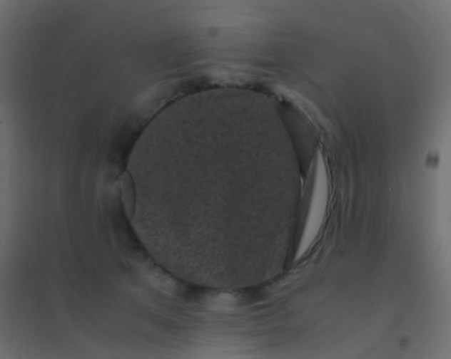 X0000094910513200712131455