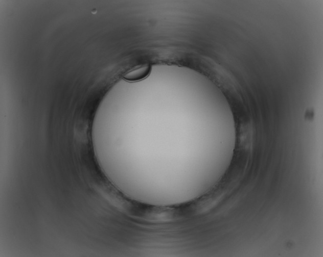 X0000094910514200712131455