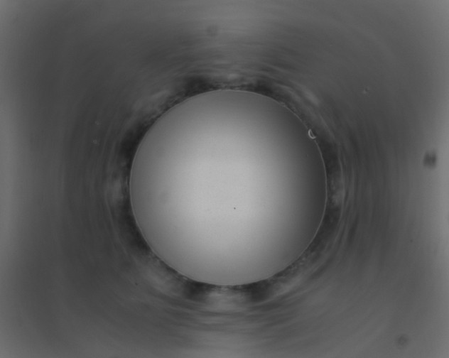X0000094910515200712131455