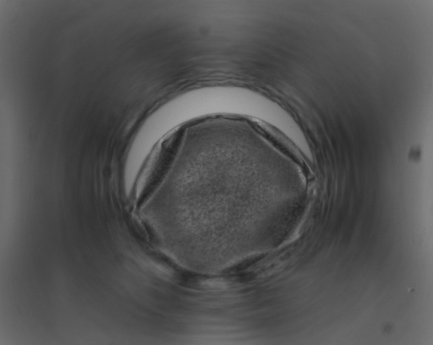 X0000094910516200712131455