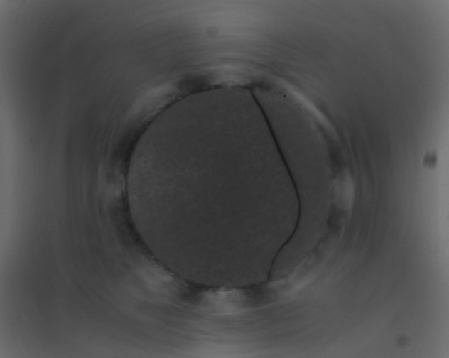 X0000094910517200712131455