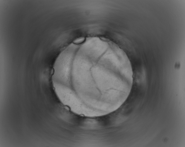 X0000094910519200712131455