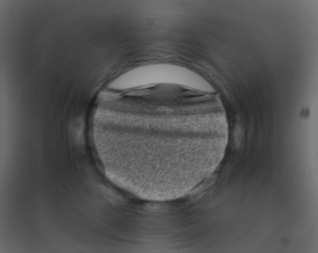 X0000094910520200712131455