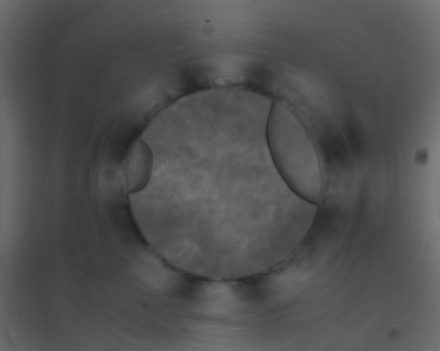 X0000094910523200712131455