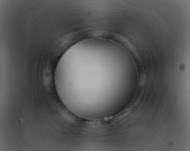 X0000094910524200712131455