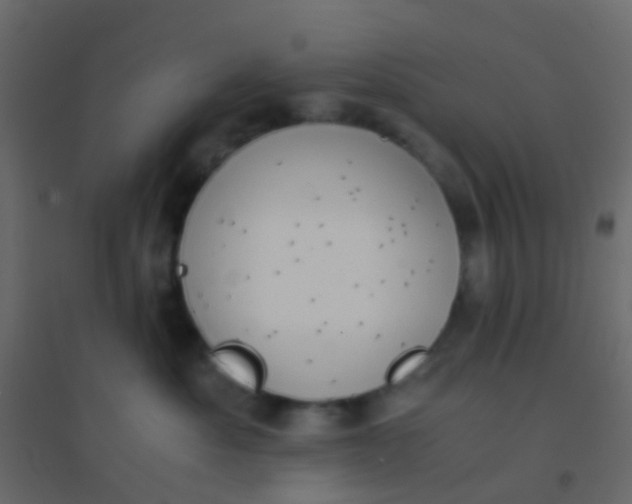 X0000094910525200712131455