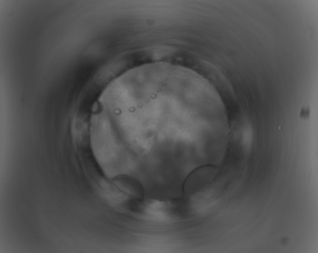 X0000094910527200712131455