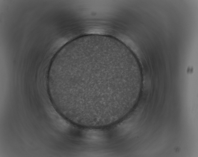 X0000094910529200712131455