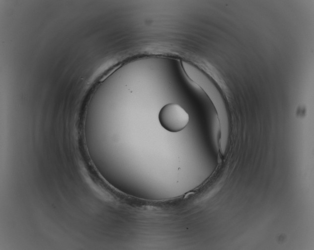 X0000094910530200712131455