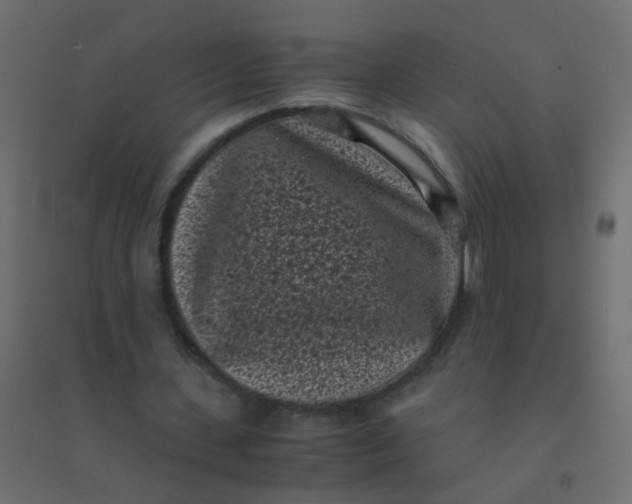X0000094910531200712131455