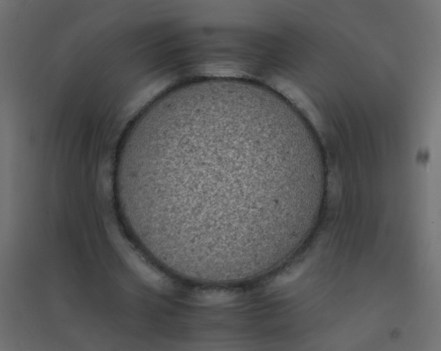 X0000094910533200712131455