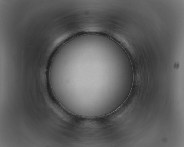 X0000094910535200712131455