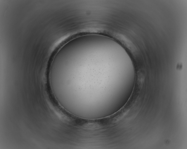 X0000094910536200712131455
