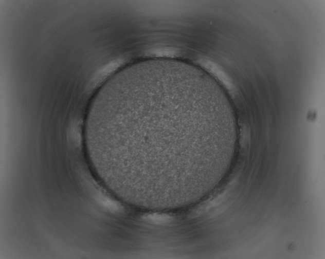 X0000094910537200712131455