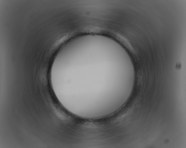 X0000094910538200712131455