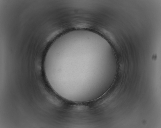X0000094910539200712131455