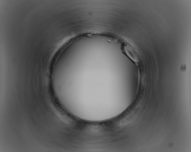 X0000094910540200712131455