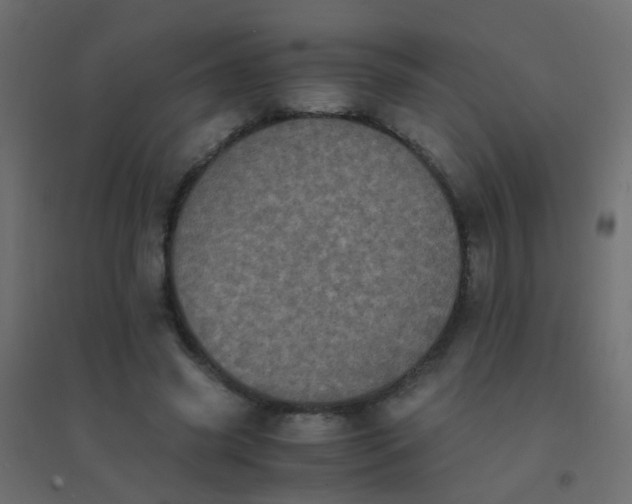 X0000094910541200712131455