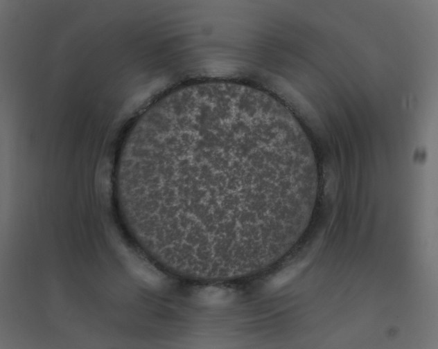 X0000094910542200712131455