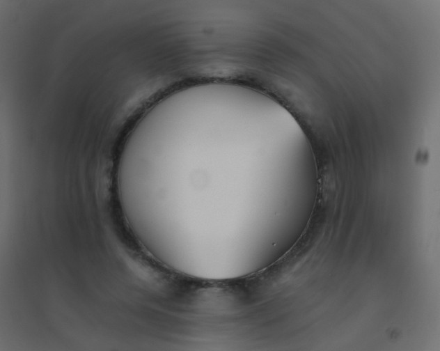 X0000094910544200712131455