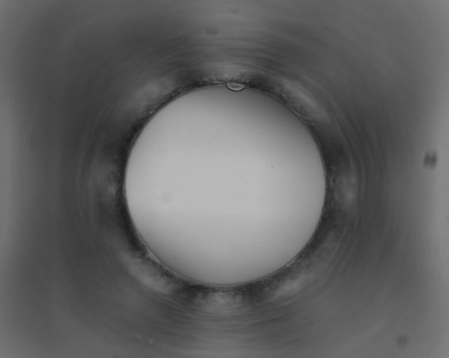 X0000094910546200712131455