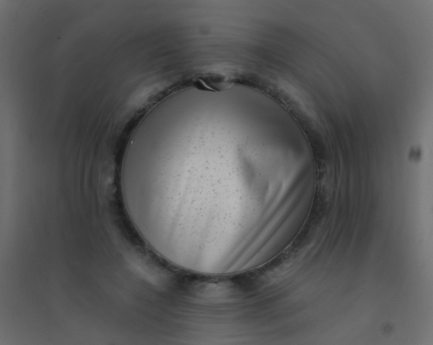 X0000094910548200712131455