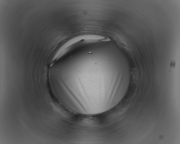 X0000094910550200712131455