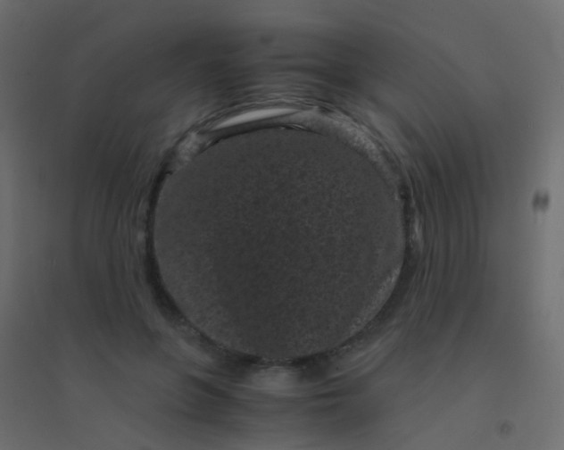 X0000094910551200712131455