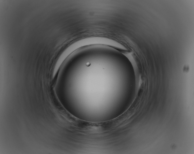 X0000094910552200712131455