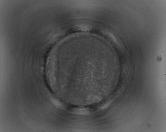 X0000094910553200712131455