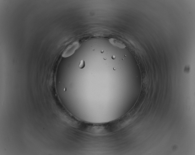 X0000094910554200712131455